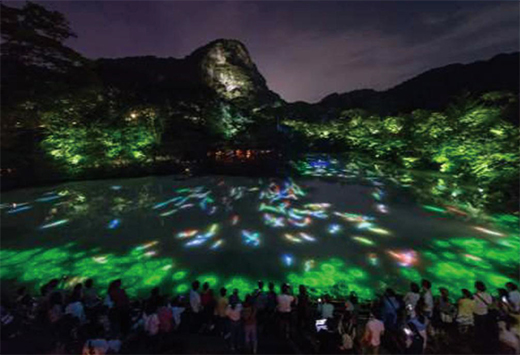 wz24111901 wz24111901